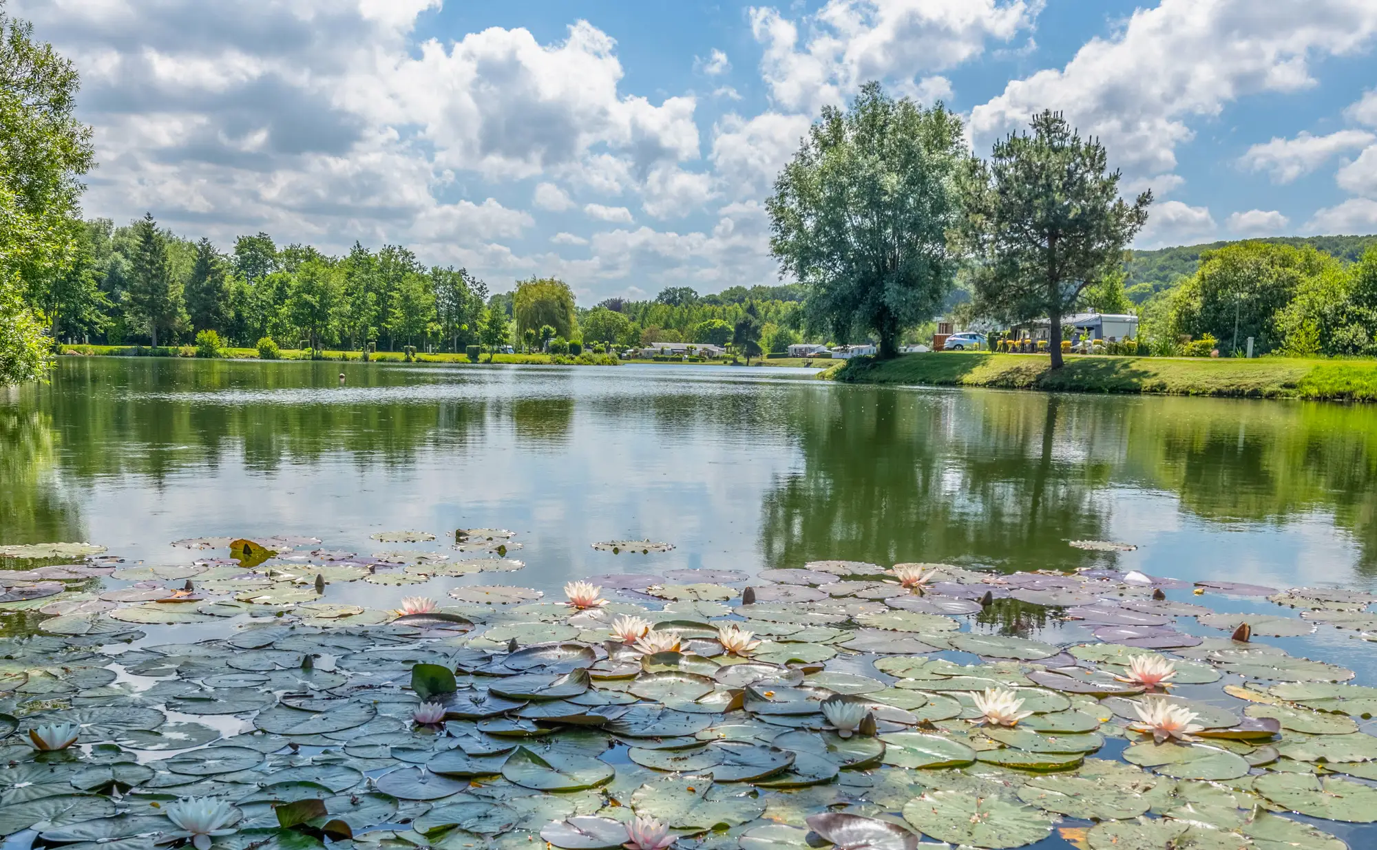 peche etang martigny